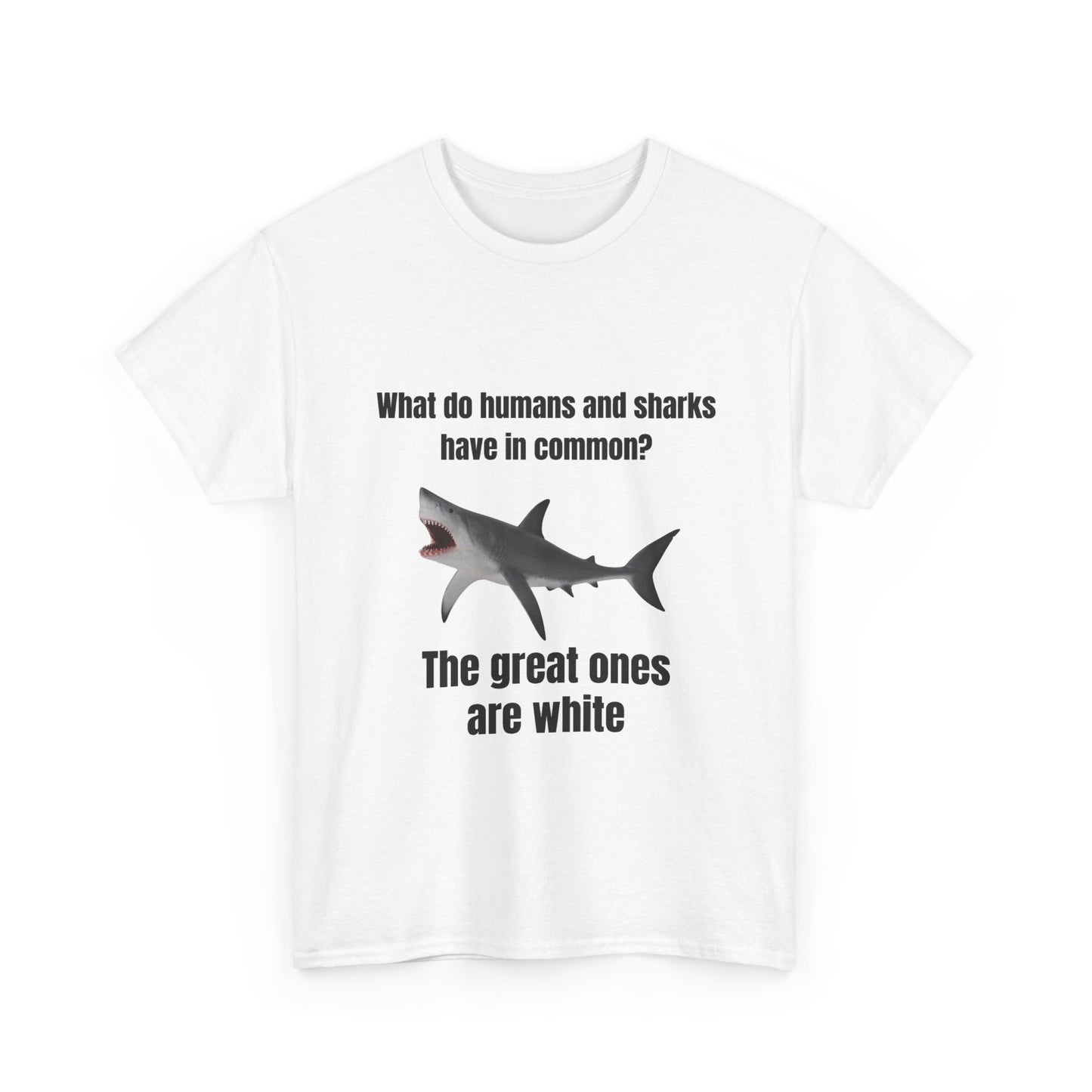 Humans vs sharks