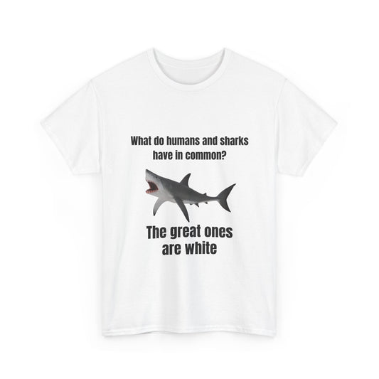 Humans vs sharks